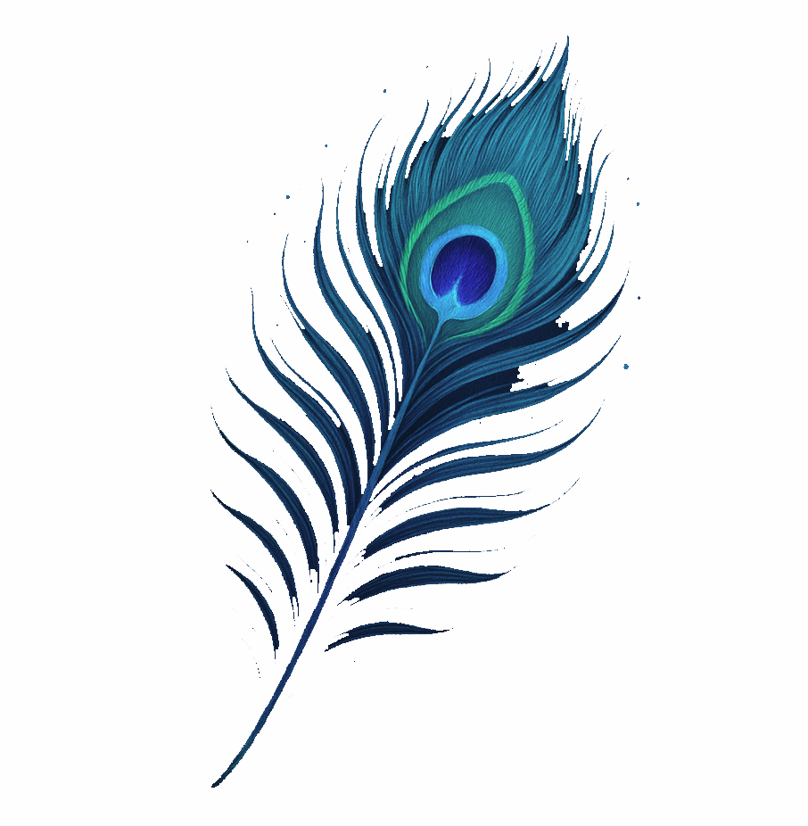 Pluma de pavorreal sagrada